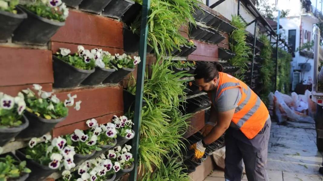 Antalya’ya Kış 4 Milyon Çiçekle Rengarenk Gelecek! 6